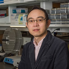 Peter Wang, Ph.D.